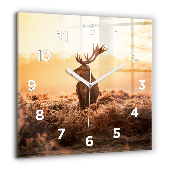 Square glass wall clock Deer at sunrise