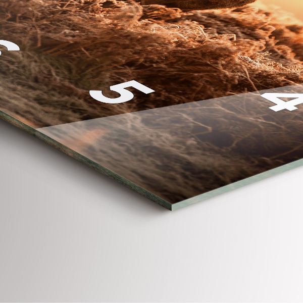 Square glass wall clock Deer at sunrise