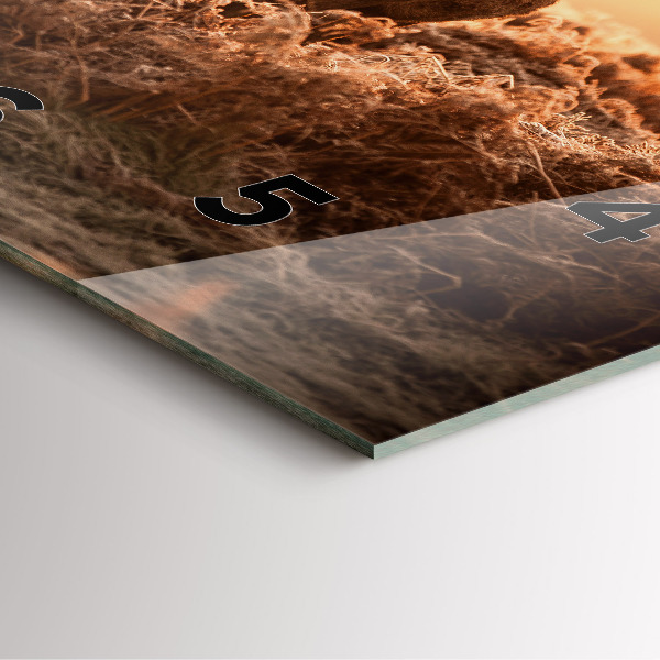 Square glass wall clock Deer at sunrise