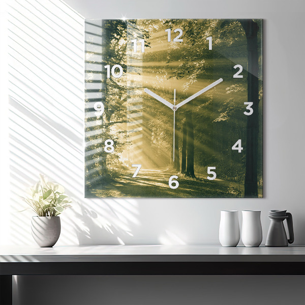 Square glass wall clock Sun Rays Forest