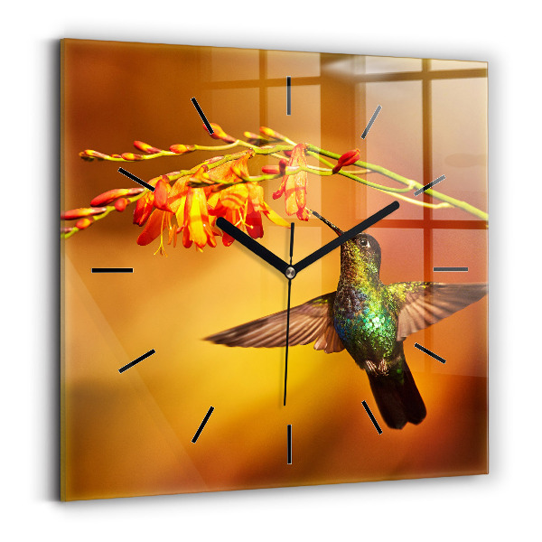 Square glass wall clock Hummingbird bird
