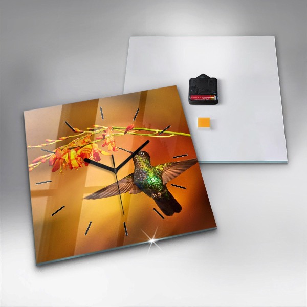 Square glass wall clock Hummingbird bird