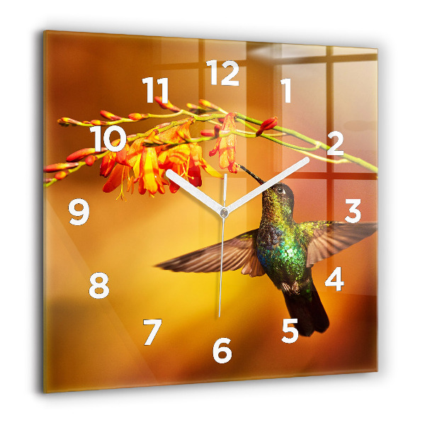 Square glass wall clock Hummingbird bird