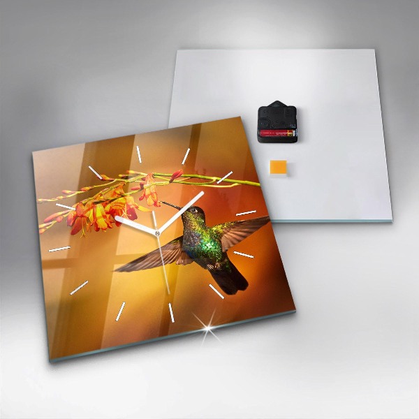 Square glass wall clock Hummingbird bird