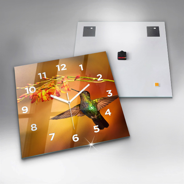 Square glass wall clock Hummingbird bird