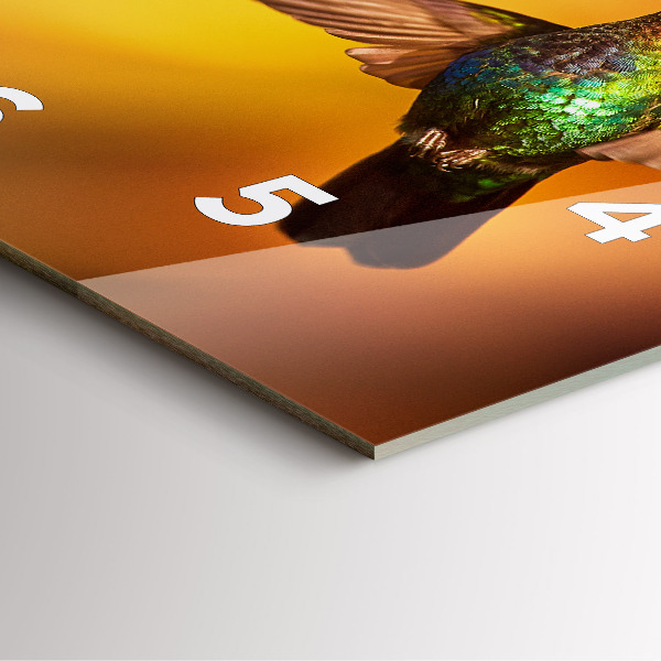 Square glass wall clock Hummingbird bird