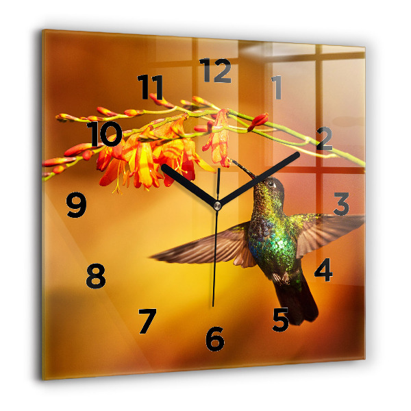 Square glass wall clock Hummingbird bird