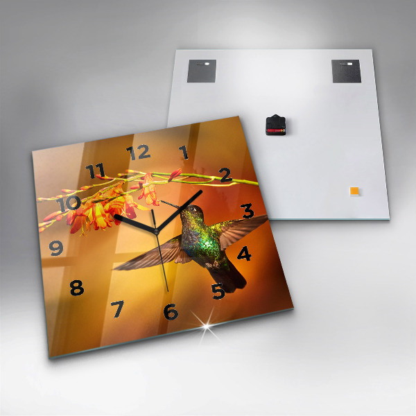 Square glass wall clock Hummingbird bird