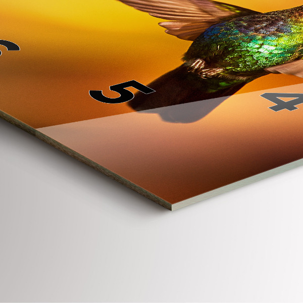 Square glass wall clock Hummingbird bird