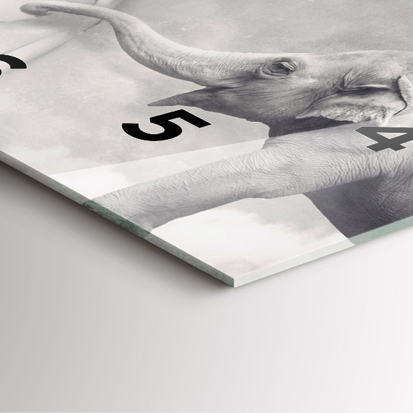 Square glass wall clock Elephant