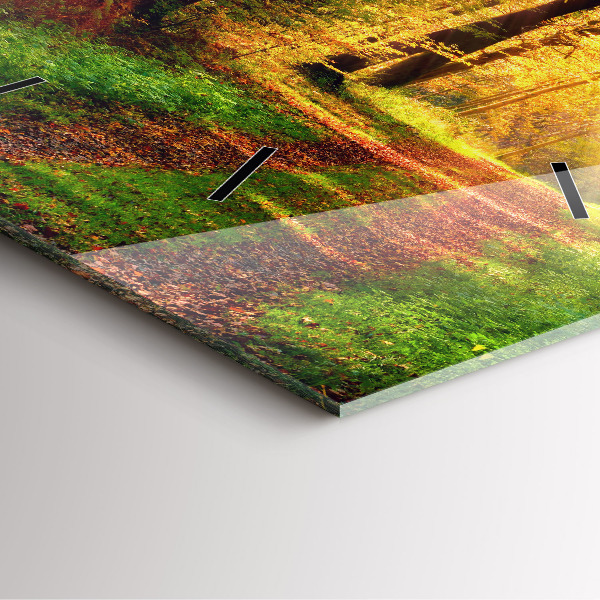 Square glass wall clock Autumn forest scenery