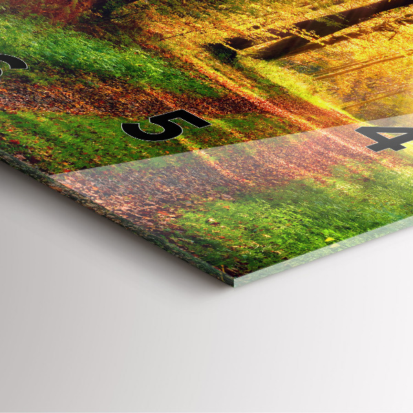 Square glass wall clock Autumn forest scenery