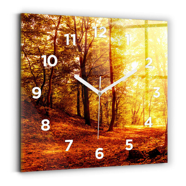 Square glass wall clock Forest landscape in the sun