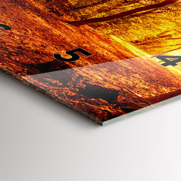 Square glass wall clock Forest landscape in the sun