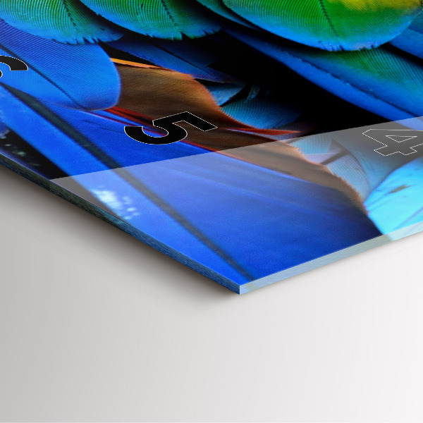 Square glass wall clock Colorful bird wings