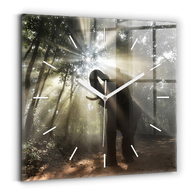Square glass wall clock Elephant in the jungle
