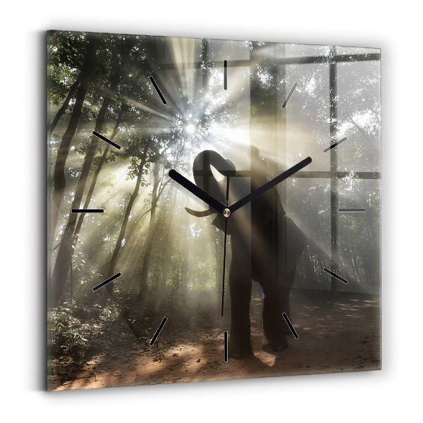 Square glass wall clock Elephant in the jungle