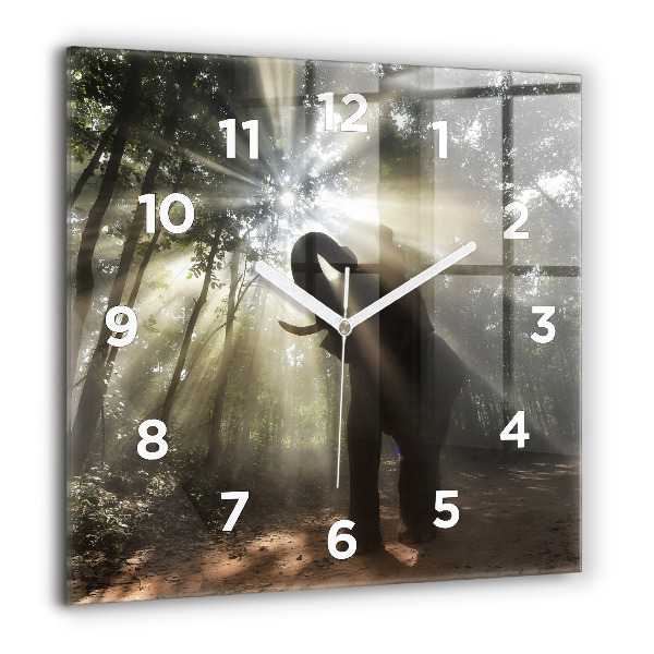 Square glass wall clock Elephant in the jungle