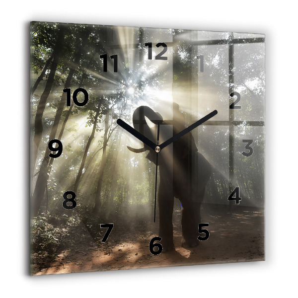 Square glass wall clock Elephant in the jungle