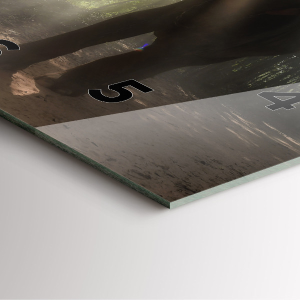 Square glass wall clock Elephant in the jungle