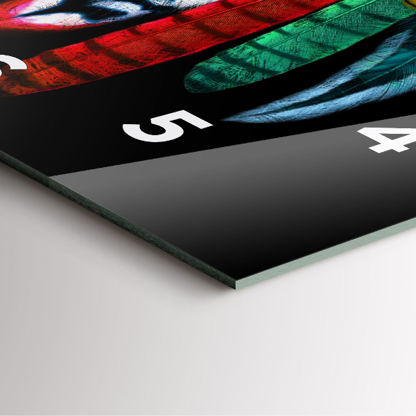 Square glass wall clock Colorful bird feathers