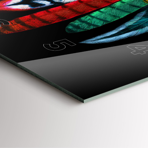 Square glass wall clock Colorful bird feathers