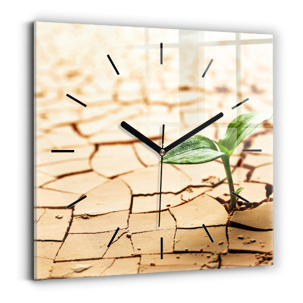 Square glass wall clock Plant in dry soil