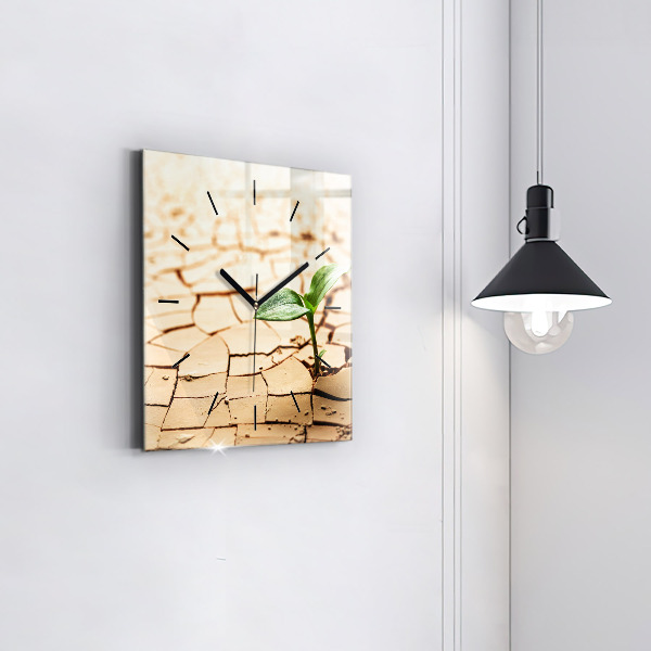 Square glass wall clock Plant in dry soil