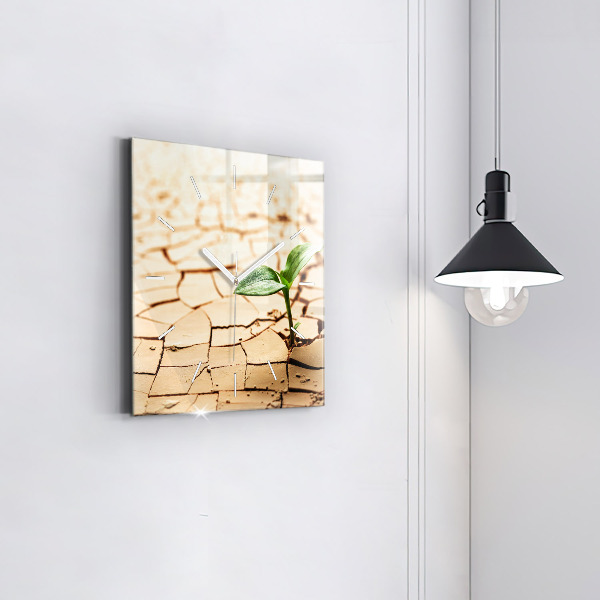 Square glass wall clock Plant in dry soil