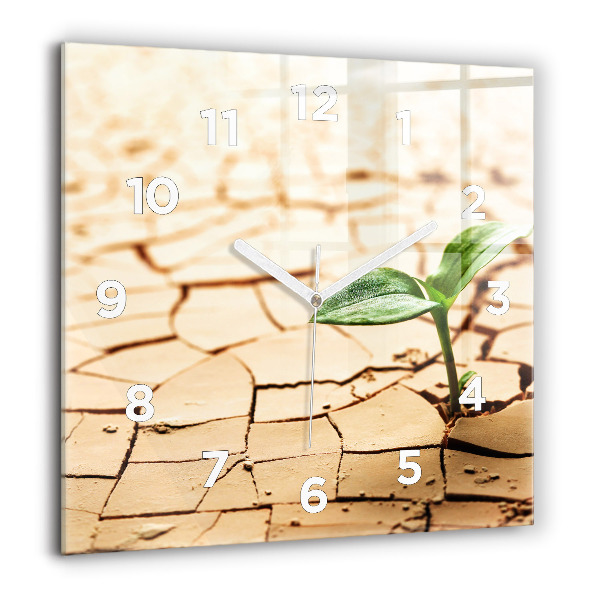 Square glass wall clock Plant in dry soil
