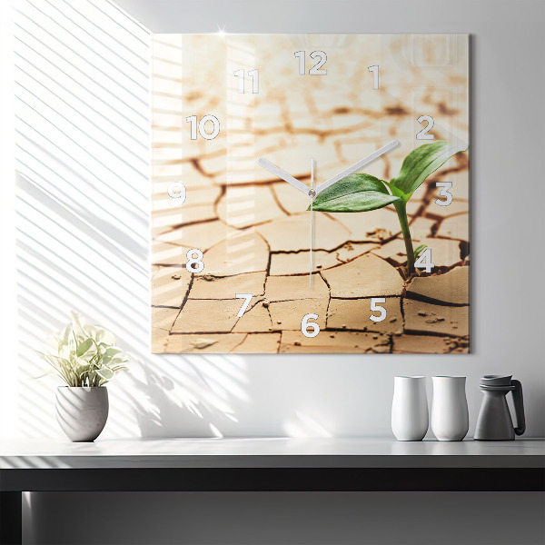 Square glass wall clock Plant in dry soil