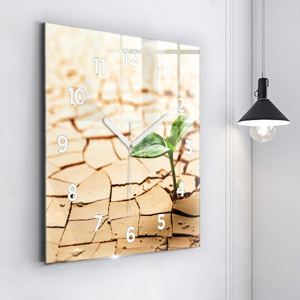 Square glass wall clock Plant in dry soil