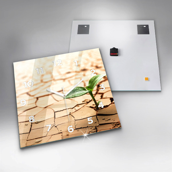 Square glass wall clock Plant in dry soil