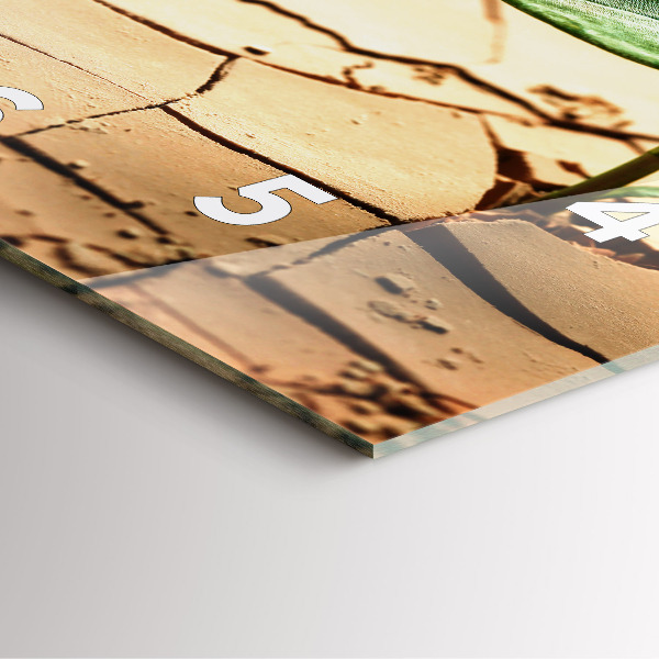 Square glass wall clock Plant in dry soil