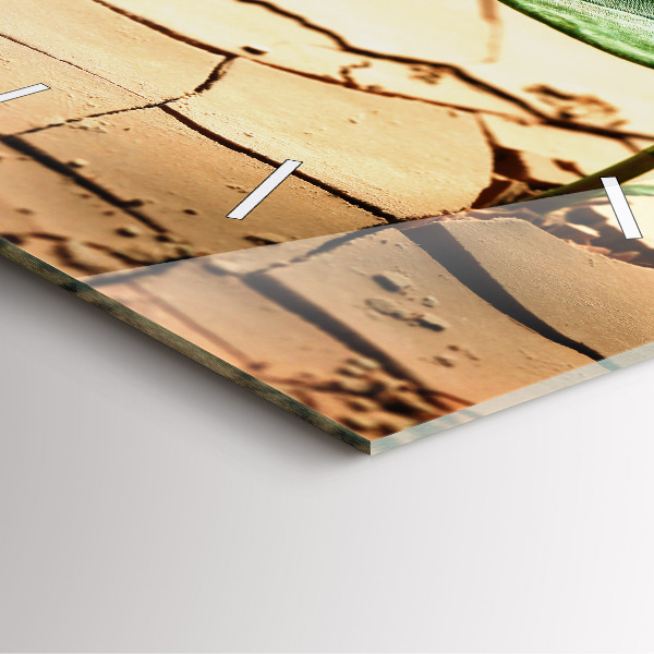 Square glass wall clock Plant in dry soil