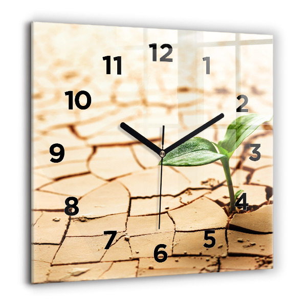 Square glass wall clock Plant in dry soil