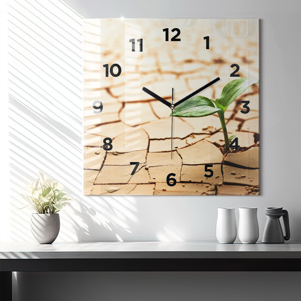 Square glass wall clock Plant in dry soil