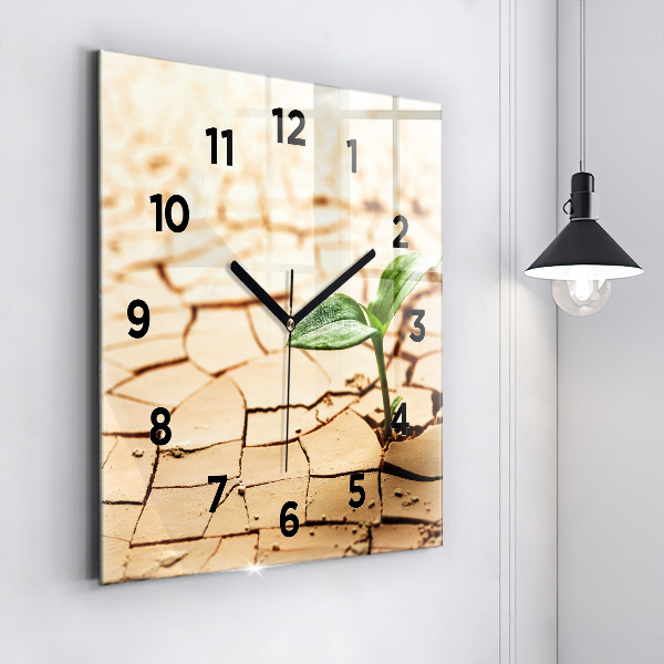 Square glass wall clock Plant in dry soil