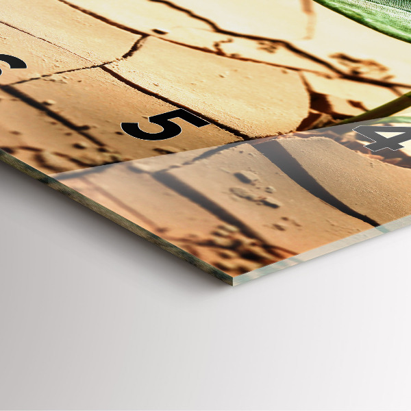 Square glass wall clock Plant in dry soil