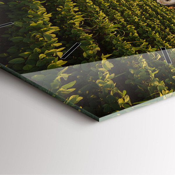 Square glass wall clock Tractor in a farm field