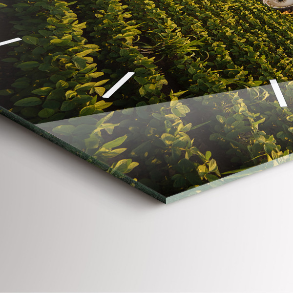 Square glass wall clock Tractor in a farm field