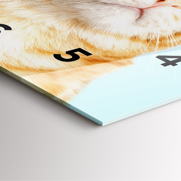 Square glass wall clock Funny cat with glasses