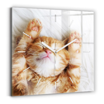 Square glass wall clock Sleeping little kitten