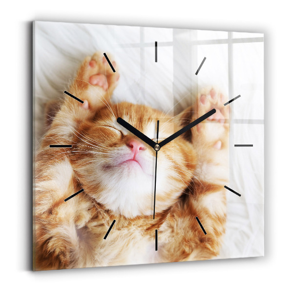 Square glass wall clock Sleeping little kitten
