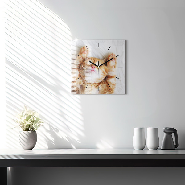 Square glass wall clock Sleeping little kitten