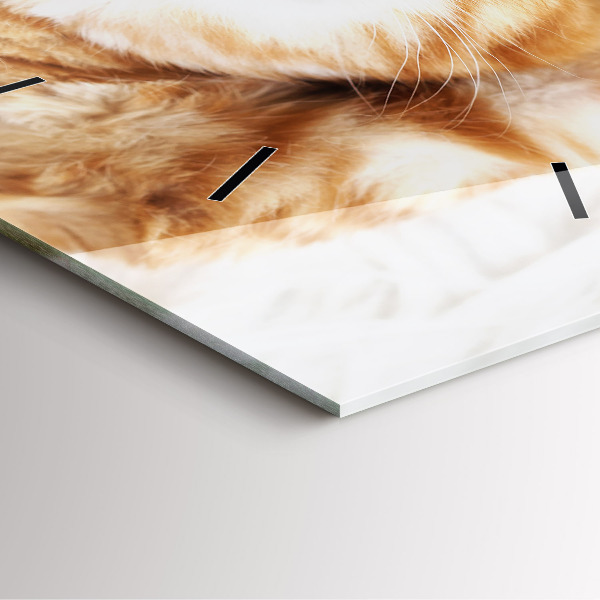 Square glass wall clock Sleeping little kitten