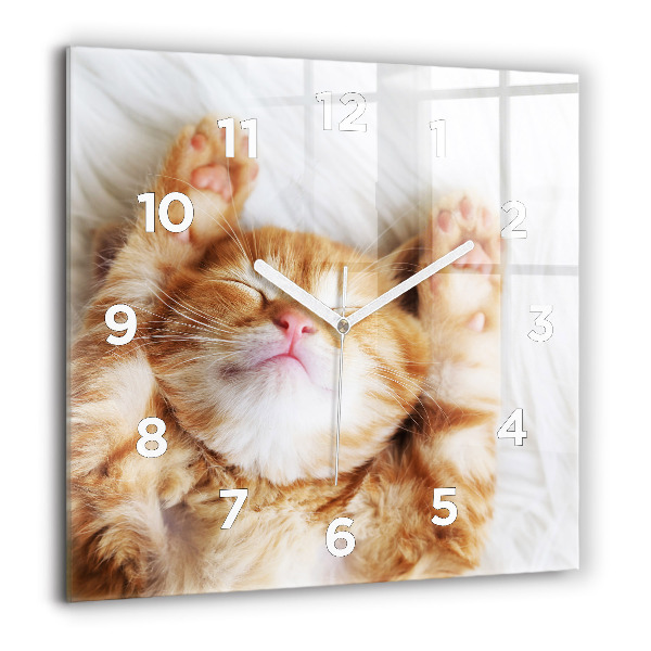 Square glass wall clock Sleeping little kitten