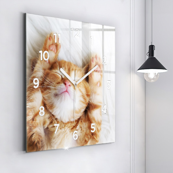 Square glass wall clock Sleeping little kitten