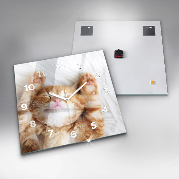 Square glass wall clock Sleeping little kitten
