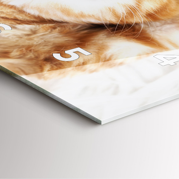 Square glass wall clock Sleeping little kitten